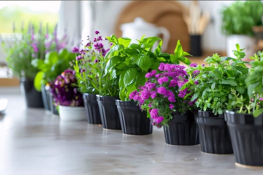Colorful flowers in black pots, smudged background inside the house. Flowering flowers, a symbol of spring, new life. A joyful time of nature awakening to life.