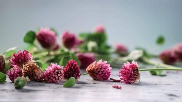 Pink flowers, clover petals scattered on a smudged light background. Green four-leaf clover symbol of St. Patrick's Day. A joyous time of celebration in the green color.