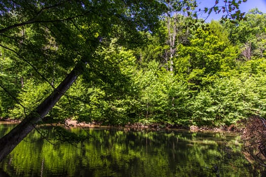 View of the Mohican River in Summer, Mohican State Park, Ohio