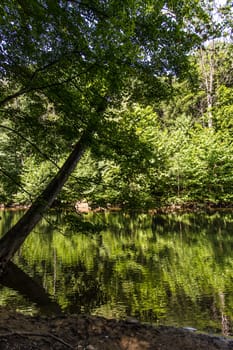 View of the Mohican River in Summer, Mohican State Park, Ohio
