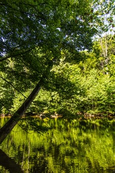 View of the Mohican River in Summer, Mohican State Park, Ohio