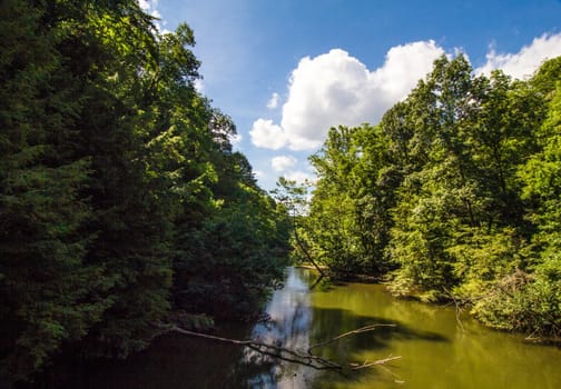View of the Mohican River in Summer, Mohican State Park, Ohio