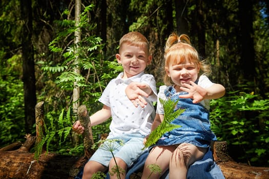 Smiling Siblings Exploring Sunny Forest Trail. A boy brother and a girl sister on nature walk. Ecology, love of nature