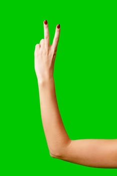 Womans Arm Hand Sign Raised in the Air on green background