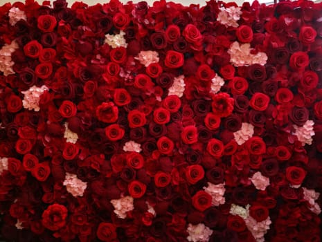 An aerial view of red and pink rose flowers. Valentine's Day as a day symbol of affection and love. The time of falling in love and love.