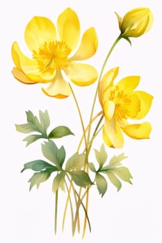 Drawn, painted bouquet of yellow flowers on isolated white background. Flowering flowers, a symbol of spring, new life. A joyful time of nature waking up to life.