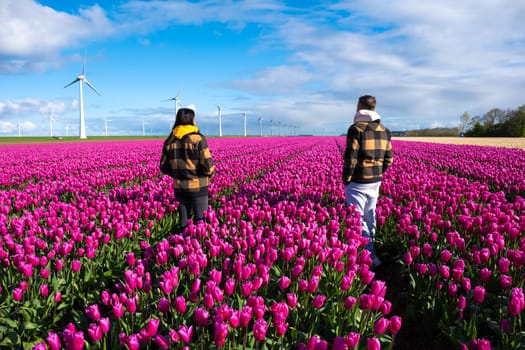 Two individuals leisurely walk through a vibrant field of purple tulips with windmill turbines in the Netherlands in spring. a couple of men and women with spring flowers, diverse people