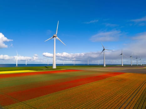 windmill park with spring flowers and a blue sky, drone aerial view with wind turbine and tulip flower field Flevoland Netherlands, Green energy, energy transition