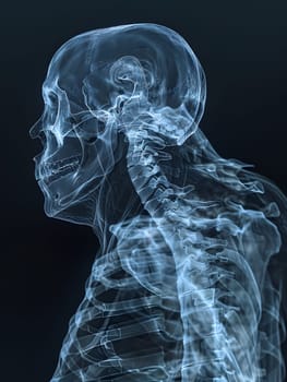 A medical image featuring an xray of a human skull and skeleton set against a black background, showcasing the intricate human anatomy and bone structure