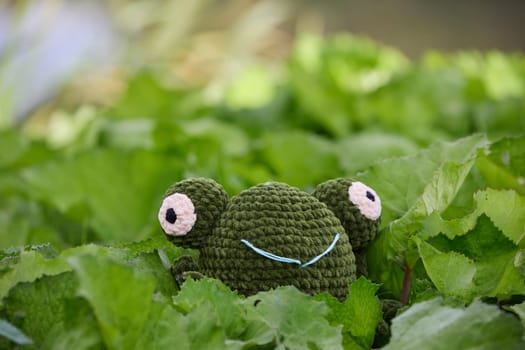 Cute knitted frog toy in the garden.