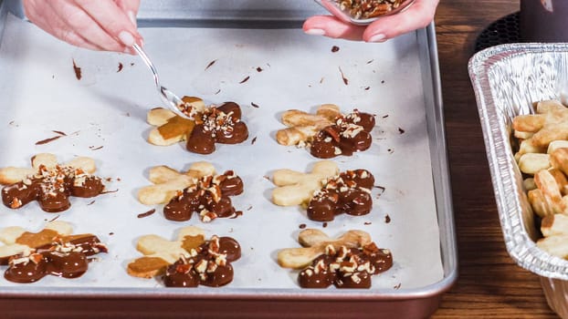 Crafting star-shaped holiday cookies dipped in chocolate and sprinkled with variety of toppings.