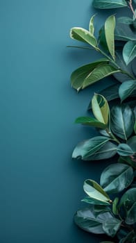A close up of a green plant with leaves on it