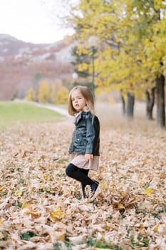 Little girl walks through fallen dry leaves in the park, looking to the side. High quality photo