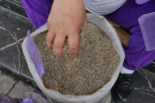 hand pick lavender dry leaf .