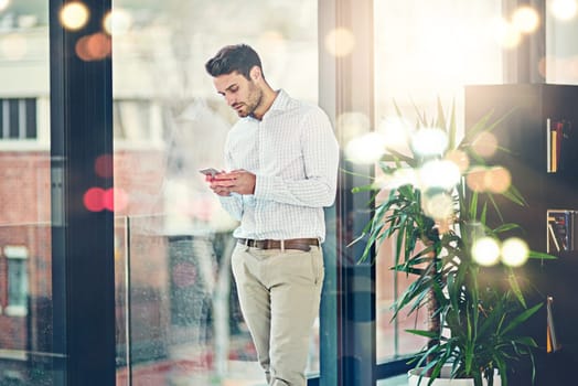 Man, office and texting on smartphone for internet or check social media, post and messages. Business person, lens flare and window with communication or networking for news update and website.