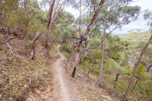 Mountain bike and hiking trails and landscape around Plenty Gorge in Northern Melbourne in Victoria, Australia