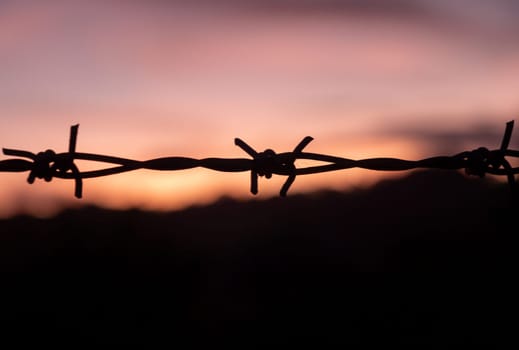 Silhouette of barbed wire on yellow sunset background. barbed wire fence silhouette at orange sunset.