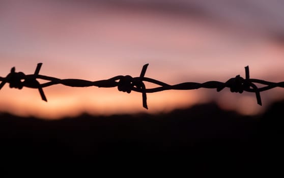 Silhouette of barbed wire on yellow sunset background. barbed wire fence silhouette at orange sunset.