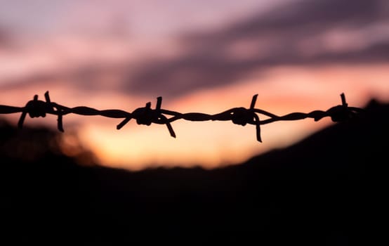 Silhouette of barbed wire on yellow sunset background. barbed wire fence silhouette at orange sunset.