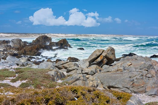 Beach, rocks and sea waves on coast for summer vacation or holiday traveling, swimming or environment. Ocean, boulders and grass in California for exploring with tropical island, foliage or nature.