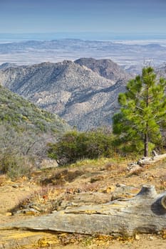 Blue sky, trees and mountain with plants in nature for travel, scenery and hiking trail in environment. Sustainable, agriculture and greenery on rocks in natural habitat in countryside for trip