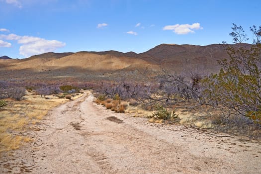 California, desert and trail with panorama, enviroment and blue sky for travel or tourism. Nature, mountain and landscape for cactus, scenery and usa sunshine with summer weather and outdoor harmony.