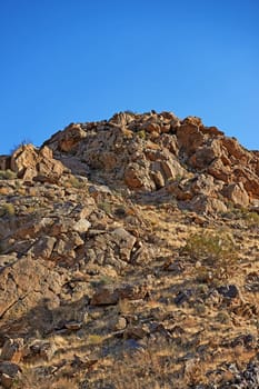 Desert, landscape and nature with plants, blue sky and peace with summer, hill and rocky. Empty, flowers and wildlife with dust or wallpaper with cactus, mountain and travel with holiday or adventure.