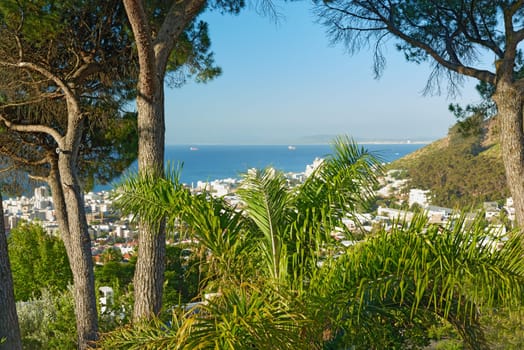 City, skyline and foliage with ocean, landscape and sea for holiday location or outdoor journey. Miami, sunshine or infrastructure for road trip, travel or urban cityscape for scenic view for tourism.