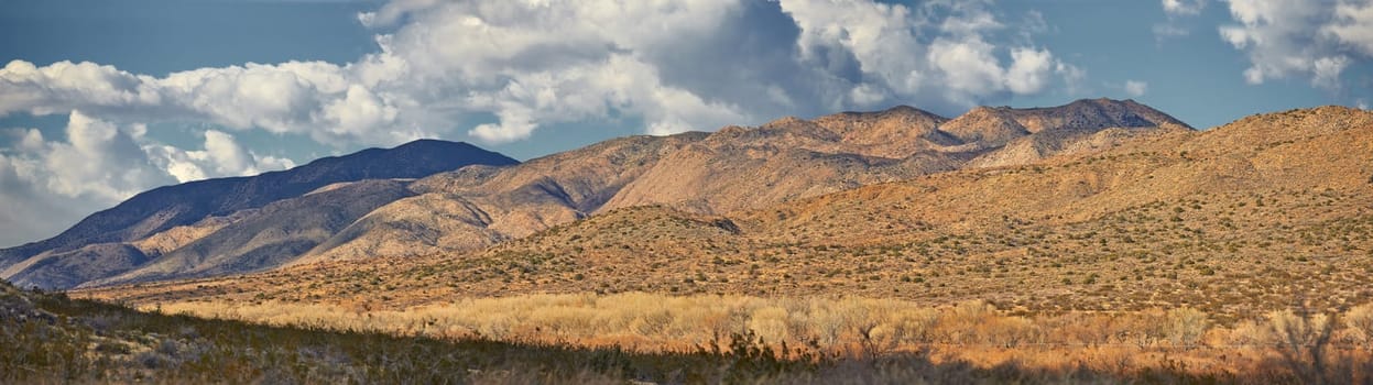 Desert, landscape and nature with plants, clouds and sunshine with summer, weather and adventure. Empty, flowers and wildlife with dust, field and weed with cactus, mountain and rocky with vacation.