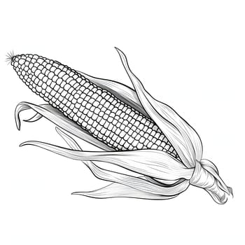 Black and White coloring book, corn cob with leaf. Corn as a dish of thanksgiving for the harvest, picture on a white isolated background. An atmosphere of joy and celebration.