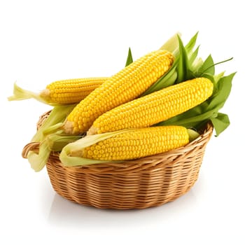 Yellow corn cobs with leaves in a wicker basket. Corn as a dish of thanksgiving for the harvest, picture on a white isolated background. An atmosphere of joy and celebration.