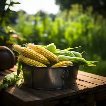 Lying on a wooden table broken cobs, corn, smeared background of the field. Corn as a dish of thanksgiving for the harvest. An atmosphere of joy and celebration.