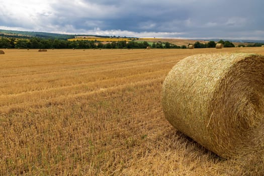 Big bales of hay on the field after harvest