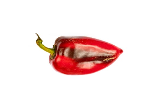 view from above of red pepper, isolated on a white background