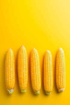 Lying at the bottom yellow corn cobs on a bright yellow orange background., banner with space for your own content. Blurred background. Blank space for caption.