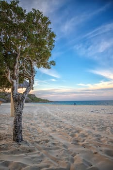 The exotic beach. Perfect resort for relaxing. 