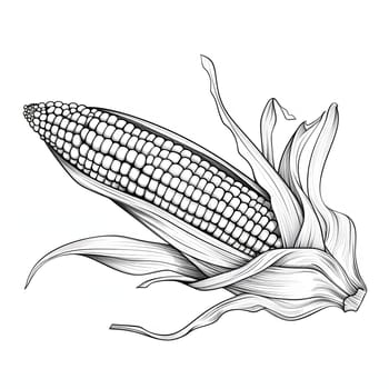 Black and White coloring book, corn cob with leaf. Corn as a dish of thanksgiving for the harvest, picture on a white isolated background. An atmosphere of joy and celebration.