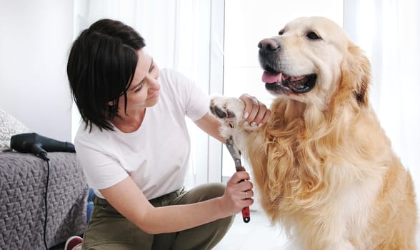 Woman Owner Brushing Paws And Cutting Fur Her Dog, Grooming Procedures At Home