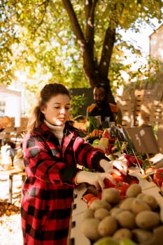 Female consumer browsing and selecting organic fresh produce at farmers market stand. In harvest fair festival, young client shopping for locally grown fruits and vegetables on harvest fair stalls.