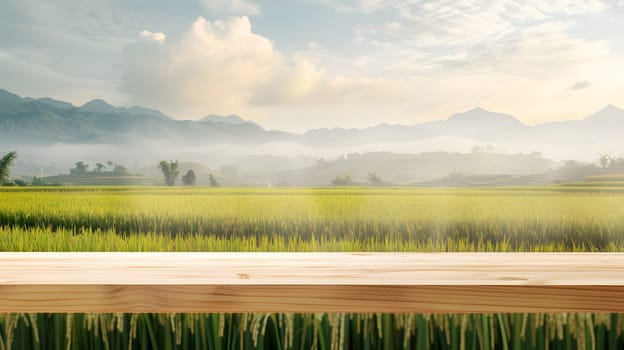 A wooden table is in the foreground with a rice field in the background, set against a natural landscape with clouds in the sky and grassland stretching towards the horizon