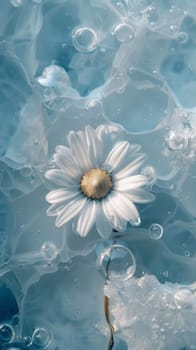 White daisy submerged in blue water with bubbles.