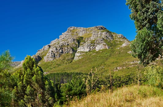 Blue sky, trees and mountain at countryside for sustainability, environment and summer growth. Plants, nature and hill with grass in daylight for green earth, eco friendly and sunshine in Canada.