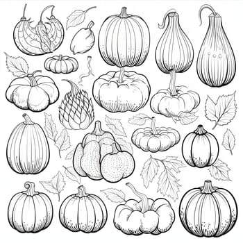 Black and White coloring book silhouettes of vegetables, fruits leaves. Pumpkin as a dish of thanksgiving for the harvest, picture on a white isolated background. Atmosphere of joy and celebration.