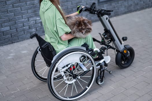 A woman in a wheelchair with a hand-control assist device carries a Spitz merle dog. Electric handbike