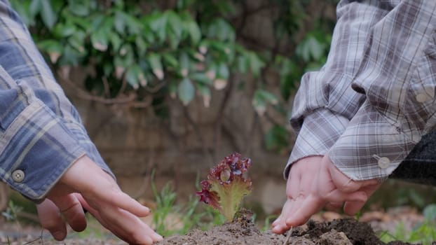 Boy planting a new tree, concept Save the Earth, save the world, save planet, ecology concept.photo