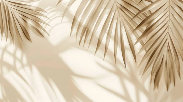 Palm leaf shadows on a beige background.