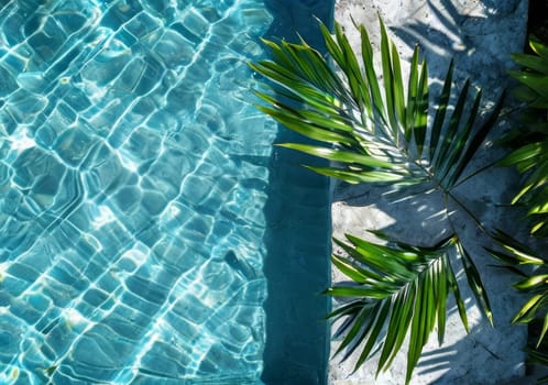 Tropical palm plant that is casting shadow over blue water. palm leaf on top of pool surface, blue water. Evergreen palm tree leaves near swimming pool. Copy space. Vacation and travel concept.