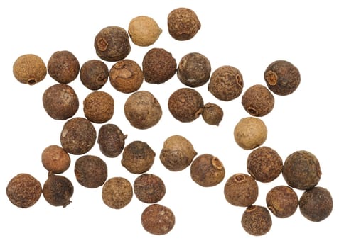 Dry allspice on isolated background, close up