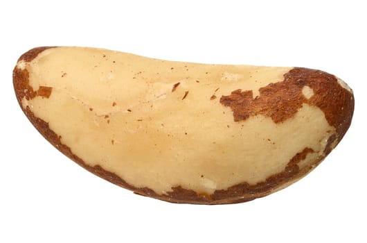 Brazil nut on isolated background, close up