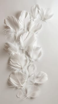 Assortment of delicate white feathers arranged on a light background.